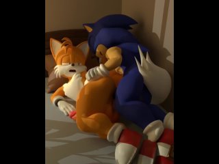 sonic the hedgehog tails miles prower femboy yaoi gay hentai furry setrixart 220165aae5490ed527bfd6c7e54925eb