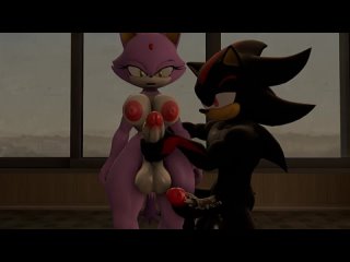 sonic the hedgehog blaze the cat shadow the hedgehog futanari hentai furry mtymac handling the cat 3055771 mtymac blowjob 6-1