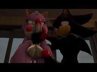 sonic the hedgehog blaze the cat shadow the hedgehog futanari hentai furry mtymac handling the cat 3055764 mtymac blowjob