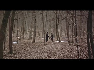 total eclipse 1995