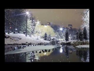 new year's greetings from the administrators of the ibu